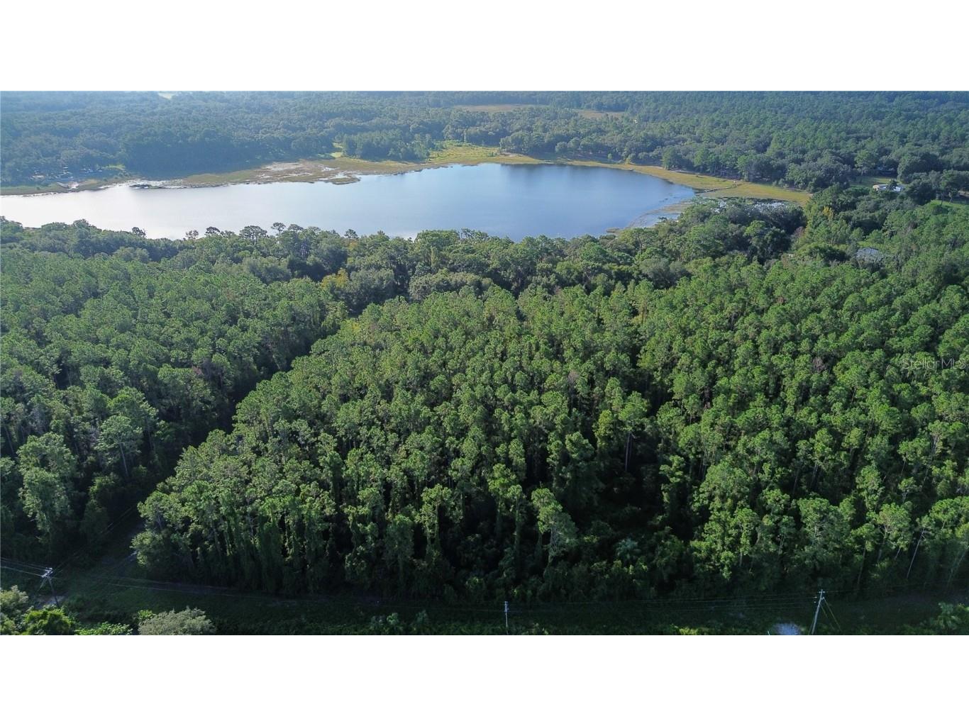 TBD SE 170th Avenue Ocklawaha FL 32179 - LAKE BESSIOLA OM709988 image6