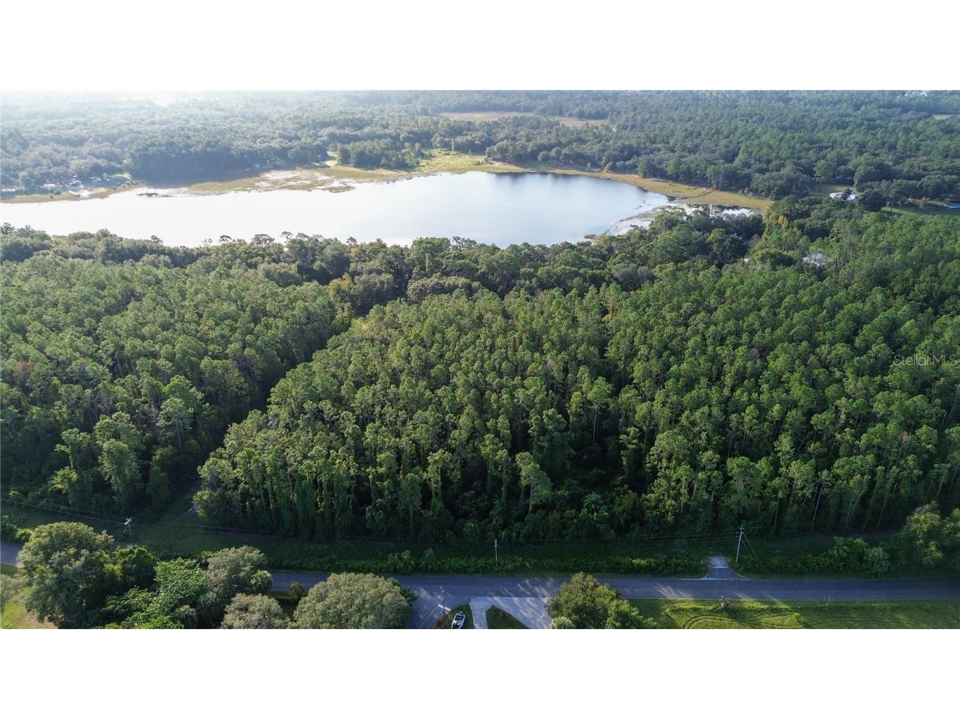 TBD SE 170th Avenue Ocklawaha FL 32179 - LAKE BESSIOLA OM709988 image7