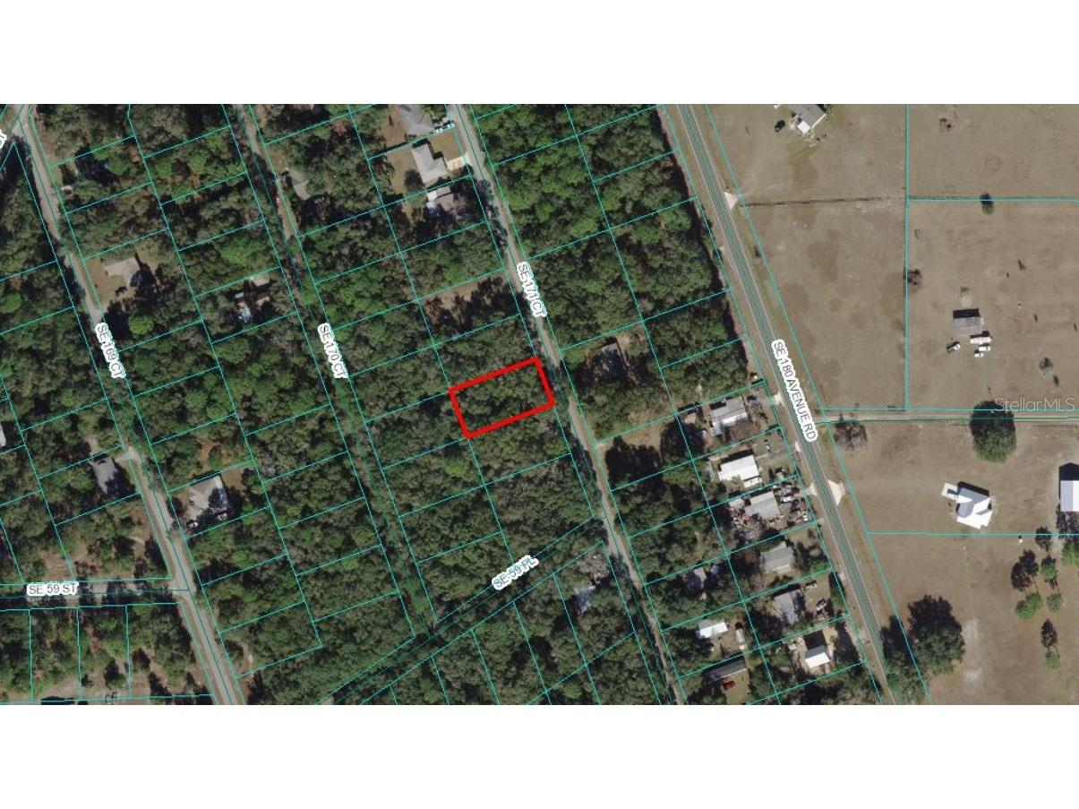 TBD SE 171 Court Ocklawaha FL 32179 OM673066 image1