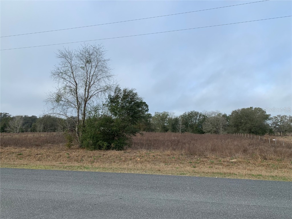 TBD SE 175 Court Morriston FL 32668 OM674743 image1