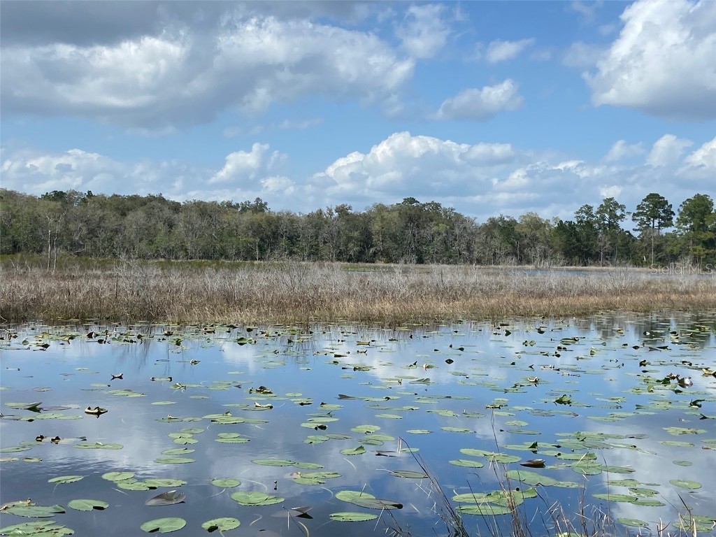 TBD SE 175th Ct Ocklawaha FL 32179 - Buckhorn Lake OM653784 image1