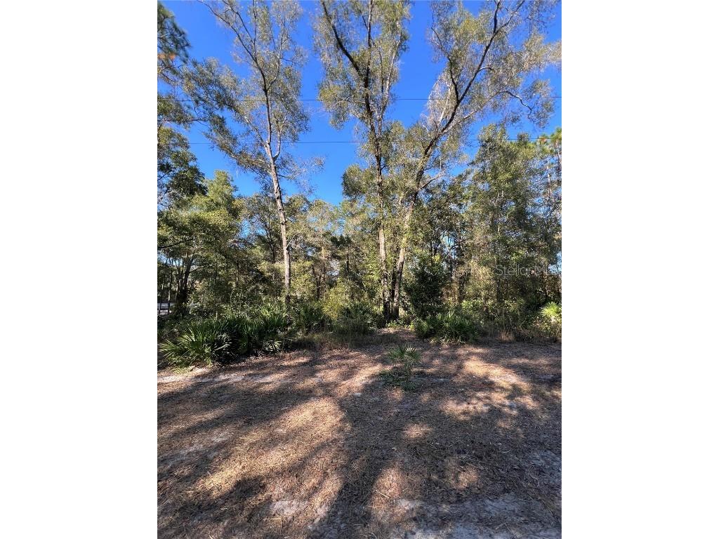 TBD SE 179th Place Summerfield FL 34491 OM714627 image1