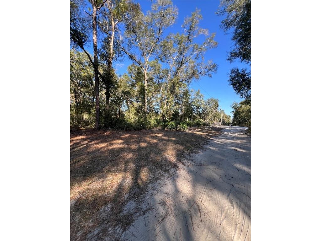 TBD SE 179th Place Summerfield FL 34491 OM714627 image2