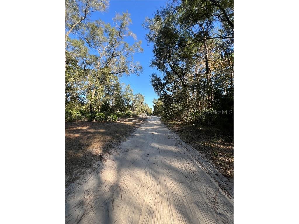 TBD SE 179th Place Summerfield FL 34491 OM714627 image3