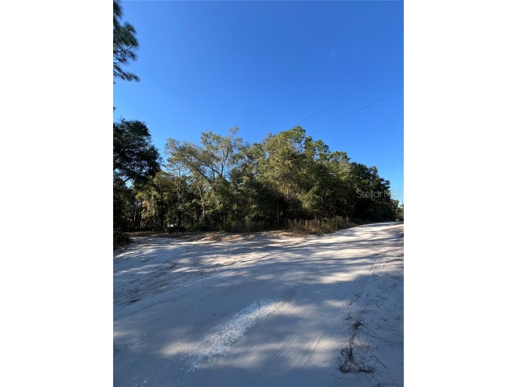 TBD SE 179th Place Summerfield FL 34491 OM714627 image5