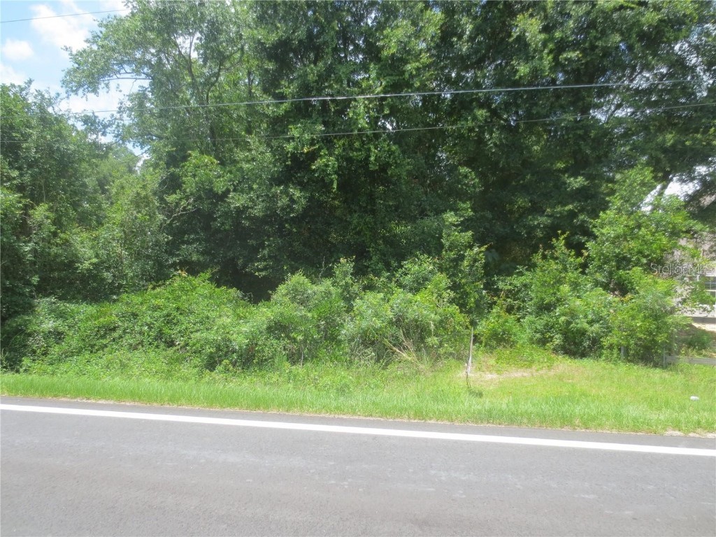TBD SE 180th Avenue Road Ocklawaha FL 32179 OM657094 image1