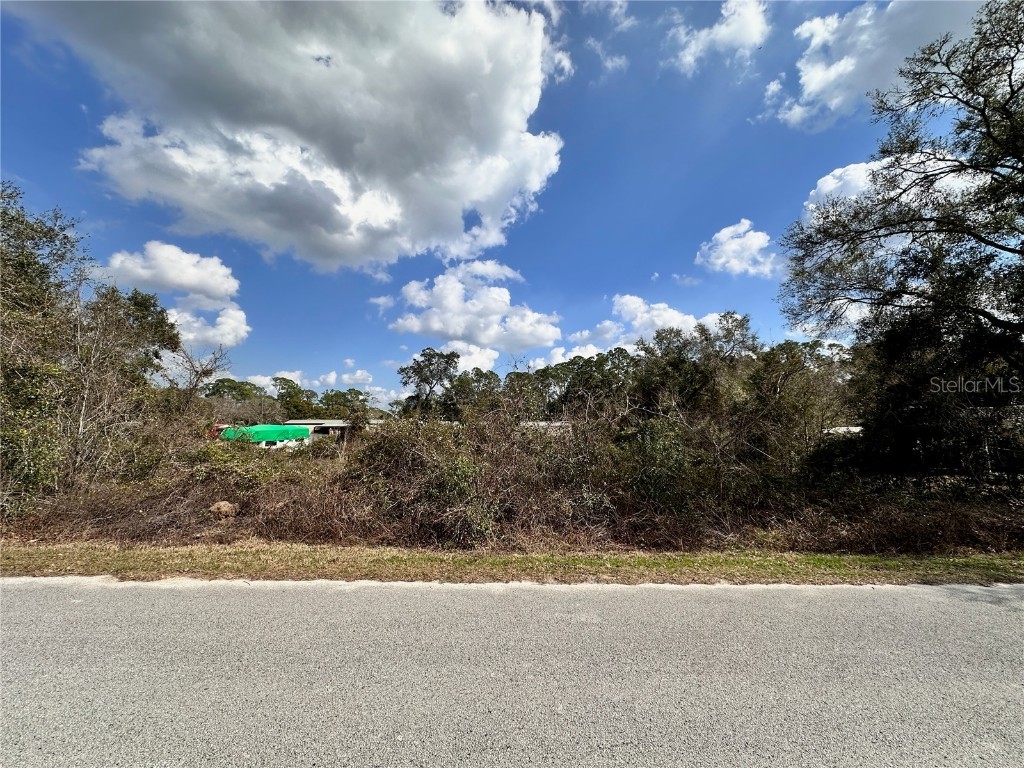 TBD SE 183rd Terrace Ocklawaha FL 32179 OM694681 image1