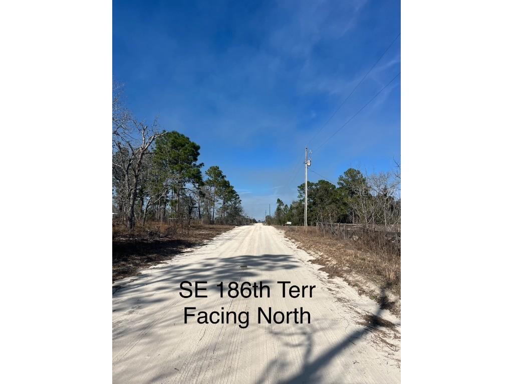 TBD SE 185 Terrace Morriston FL 32668 OM694736 image2