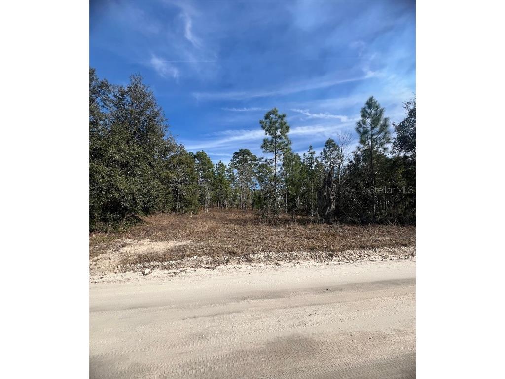 TBD SE 185 Terrace Morriston FL 32668 OM694736 image3