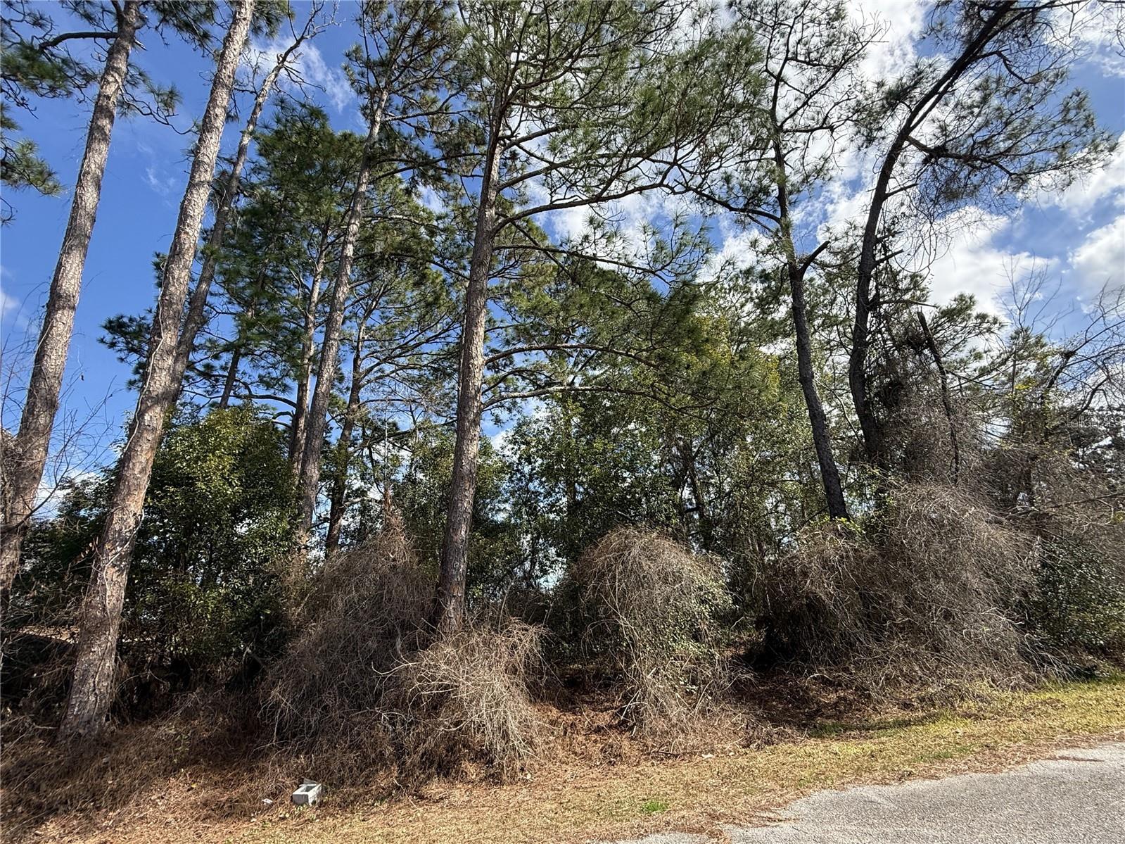 TBD Se 190th Avenue Silver Springs FL 34488 TB8468740 image1