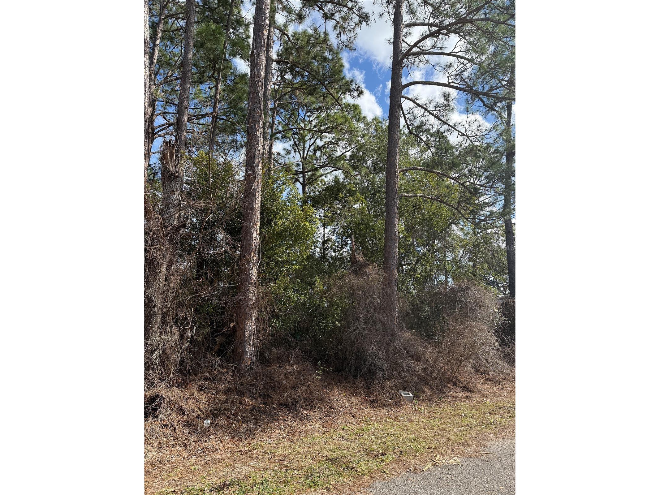 TBD Se 190th Avenue Silver Springs FL 34488 TB8468740 image2