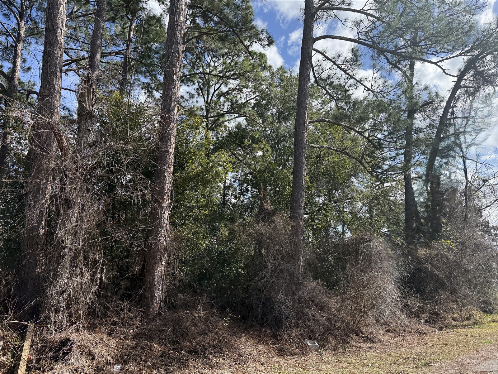 TBD Se 190th Avenue Silver Springs FL 34488 TB8468740 image3