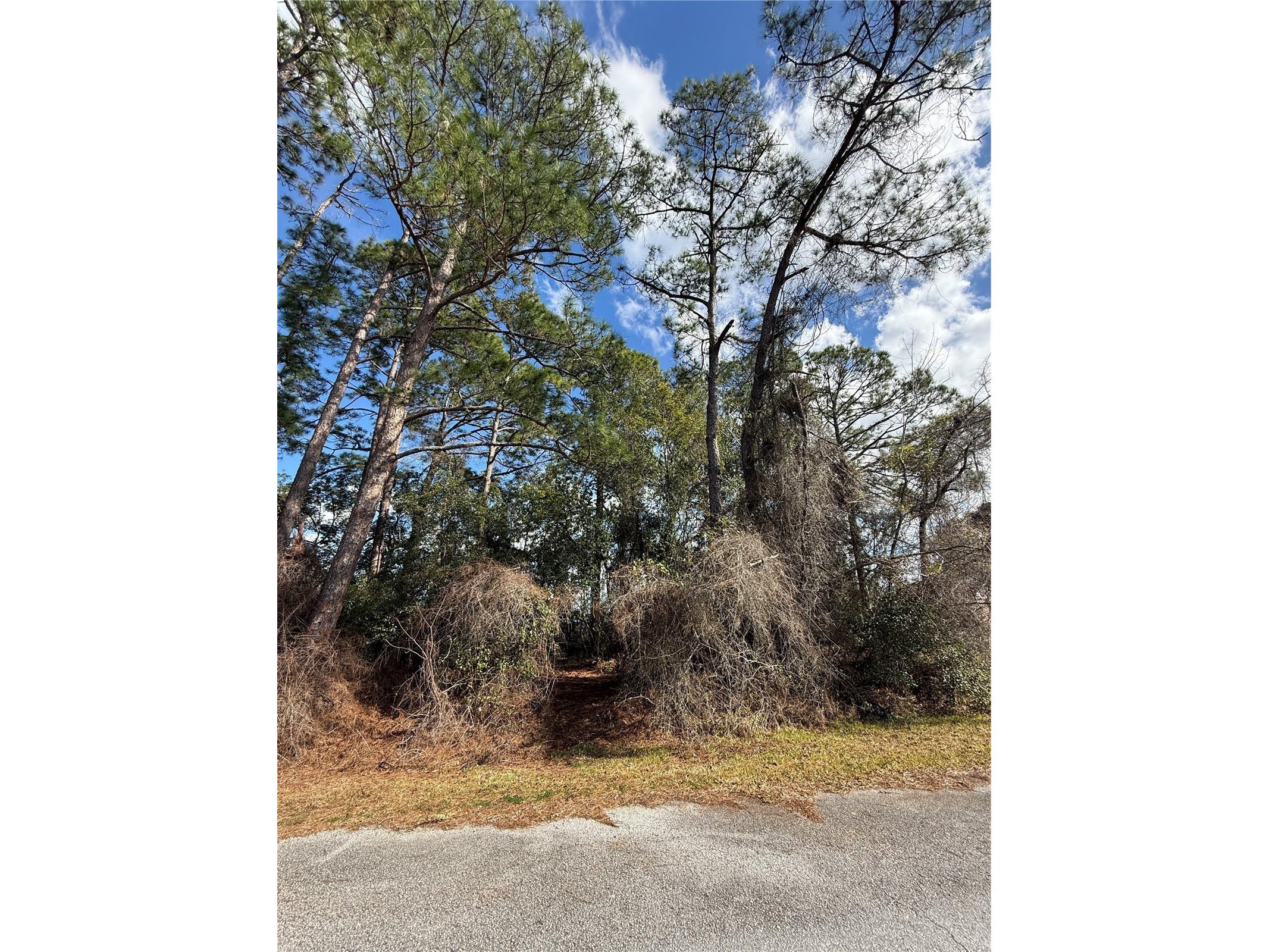 TBD Se 190th Avenue Silver Springs FL 34488 TB8468740 image4