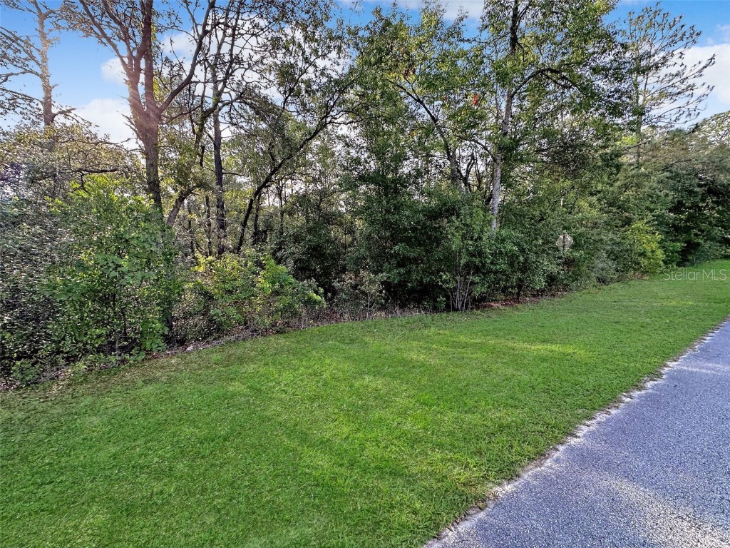 TBD SE 193rd Avenue Morriston FL 32668 OM658505 image1