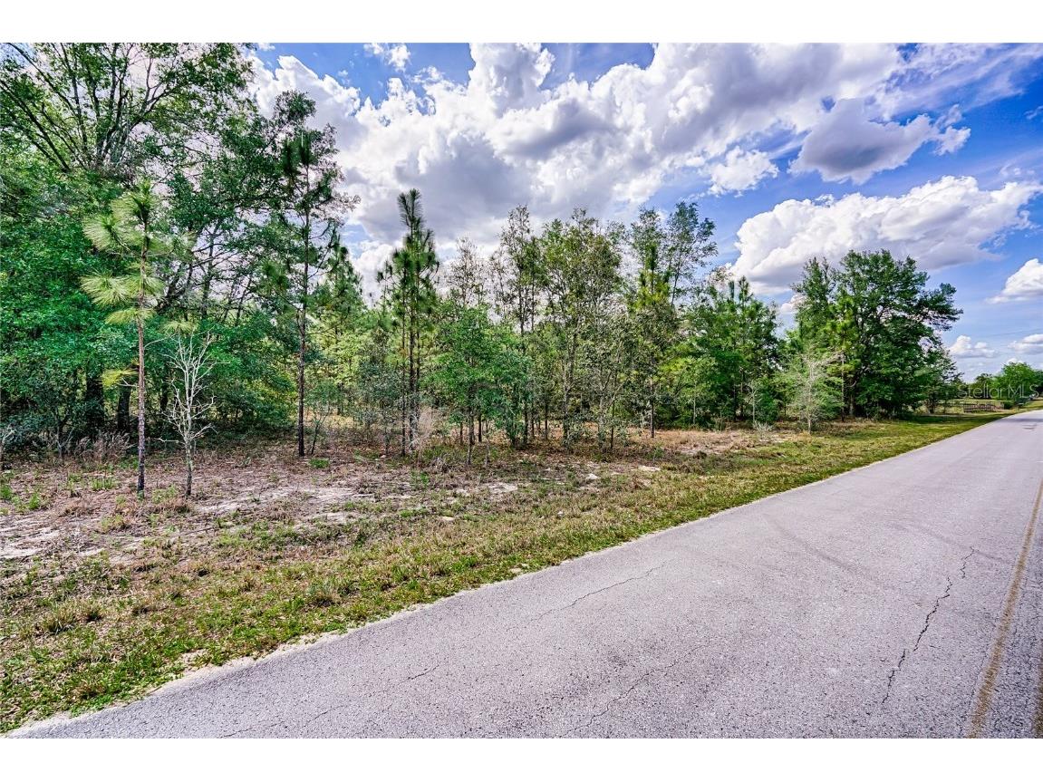 TBD SE 194th Avenue Morriston FL 32668 GC512502 image1