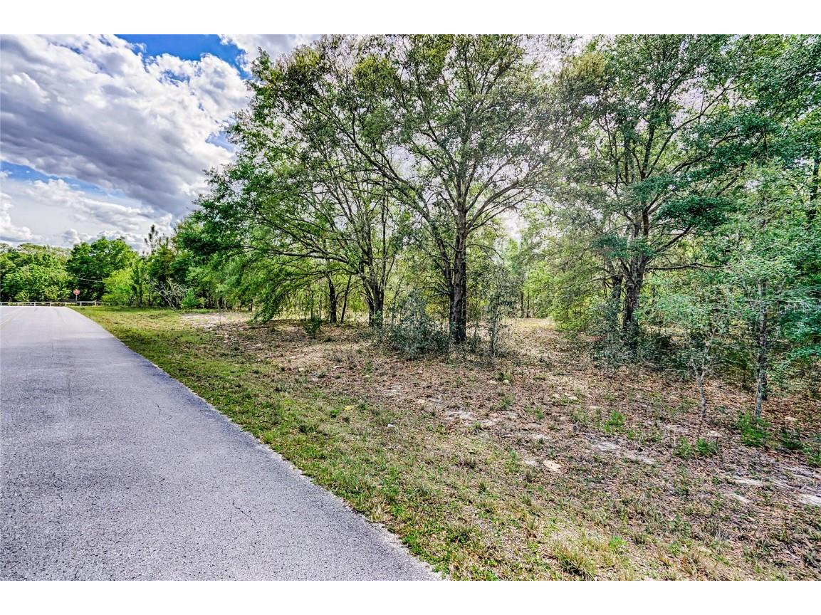 TBD SE 194th Avenue Morriston FL 32668 GC512503 image1