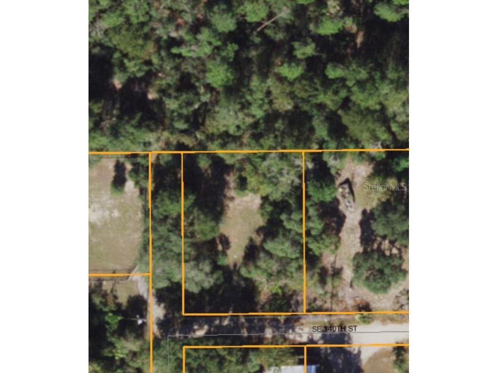 TBD SE 200th Court Umatilla FL 32784 O6024593 image1