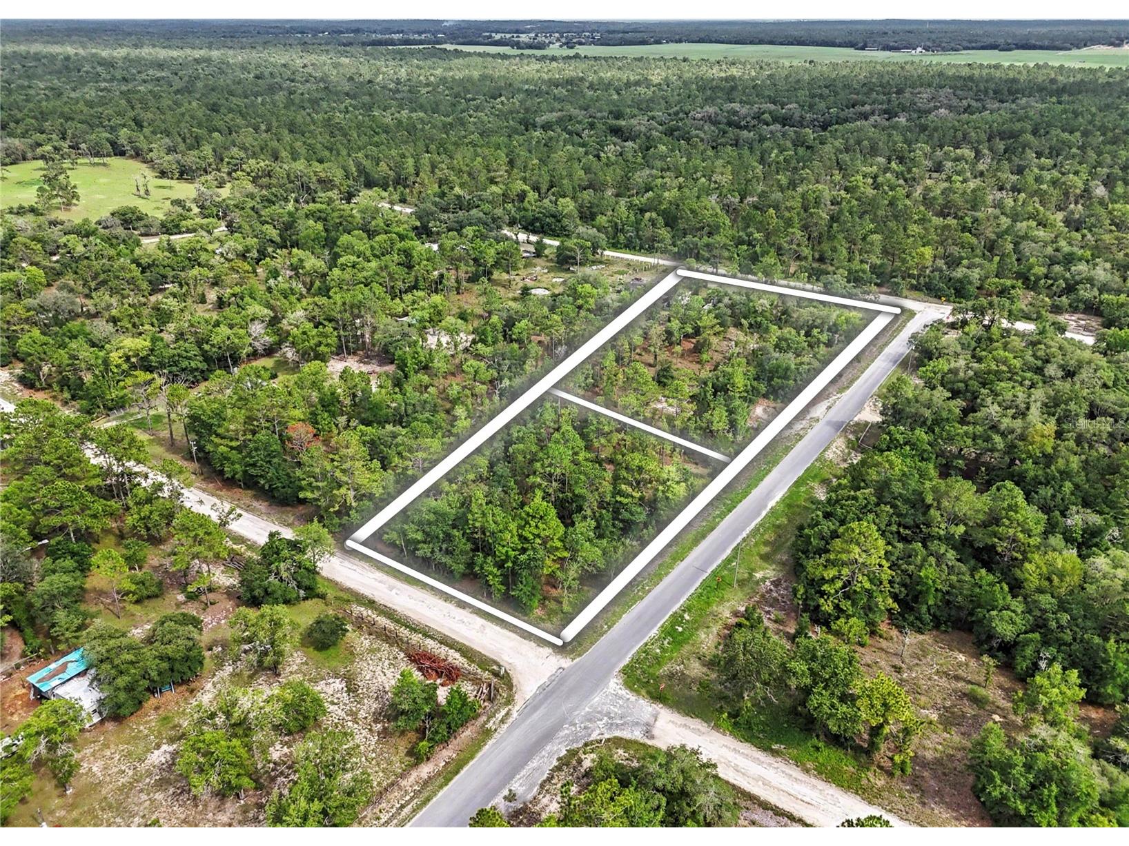 TBD SE 218th Avenue Morriston FL 32668 OM725724 image1