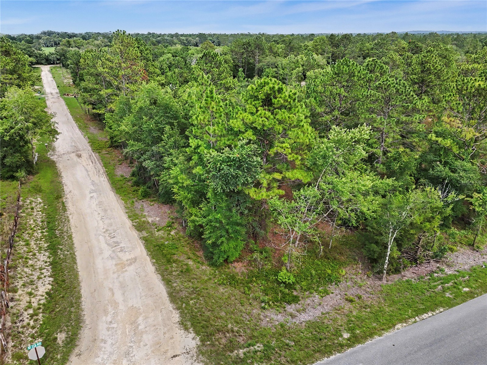 TBD SE 218th Avenue Morriston FL 32668 OM725724 image10