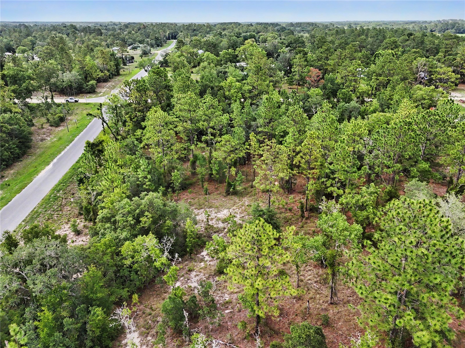 TBD SE 218th Avenue Morriston FL 32668 OM725724 image11