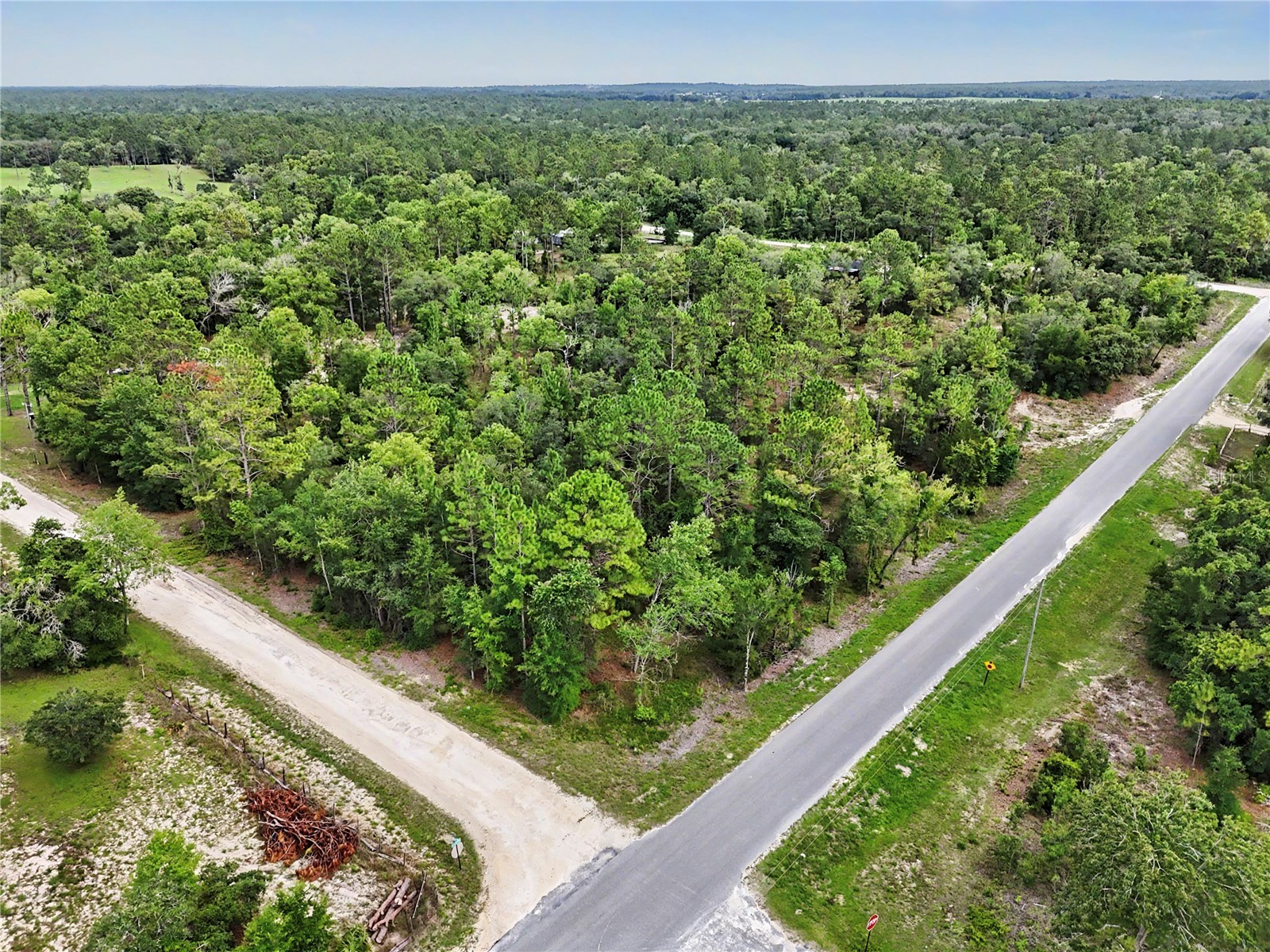 TBD SE 218th Avenue Morriston FL 32668 OM725724 image13