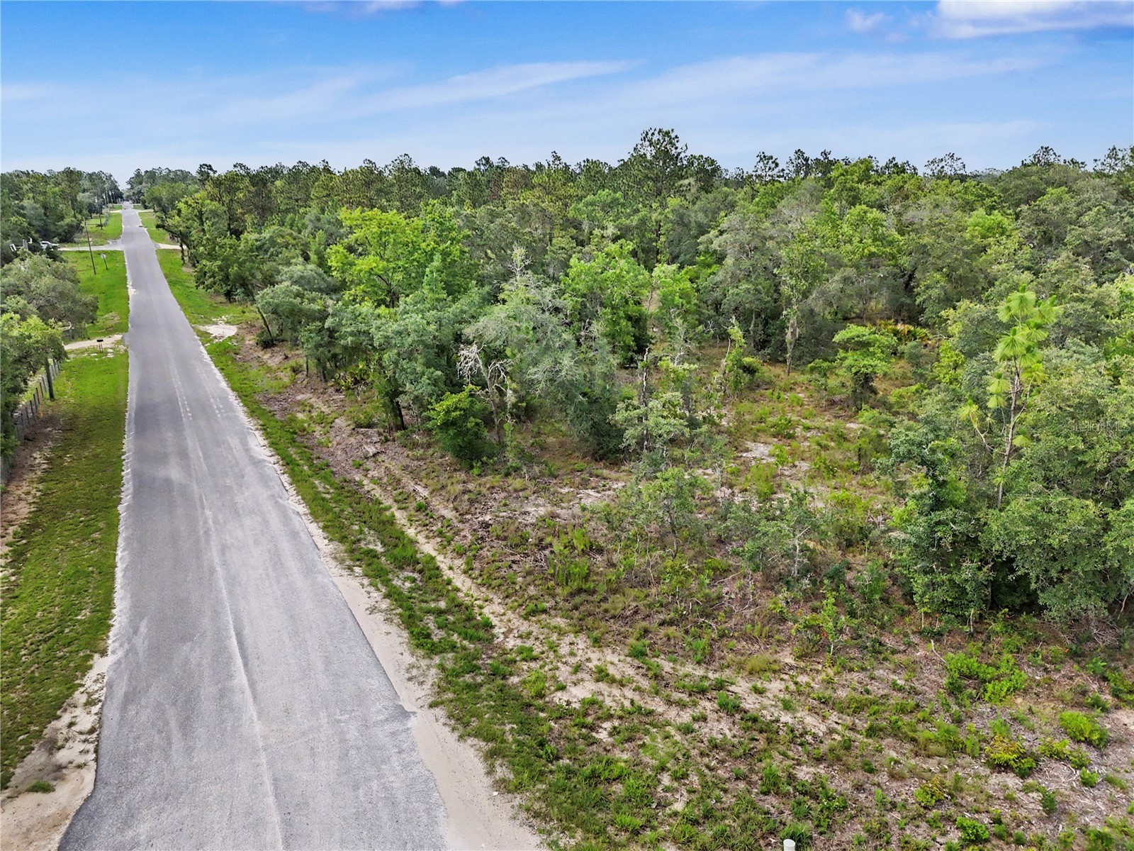 TBD SE 218th Avenue Morriston FL 32668 OM725724 image14