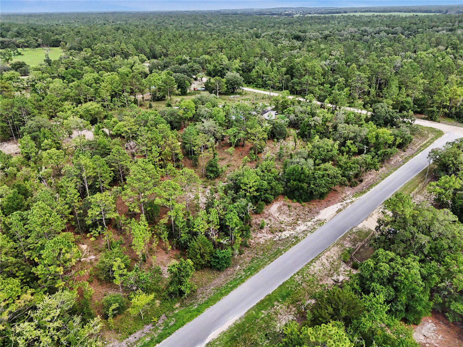 TBD SE 218th Avenue Morriston FL 32668 OM725724 image15