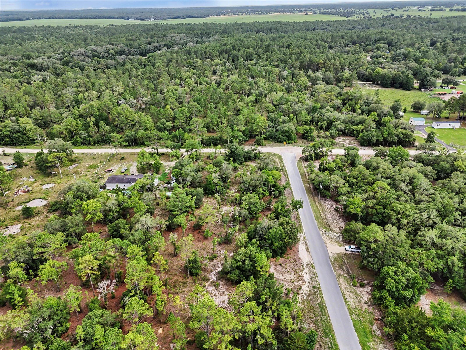 TBD SE 218th Avenue Morriston FL 32668 OM725724 image16