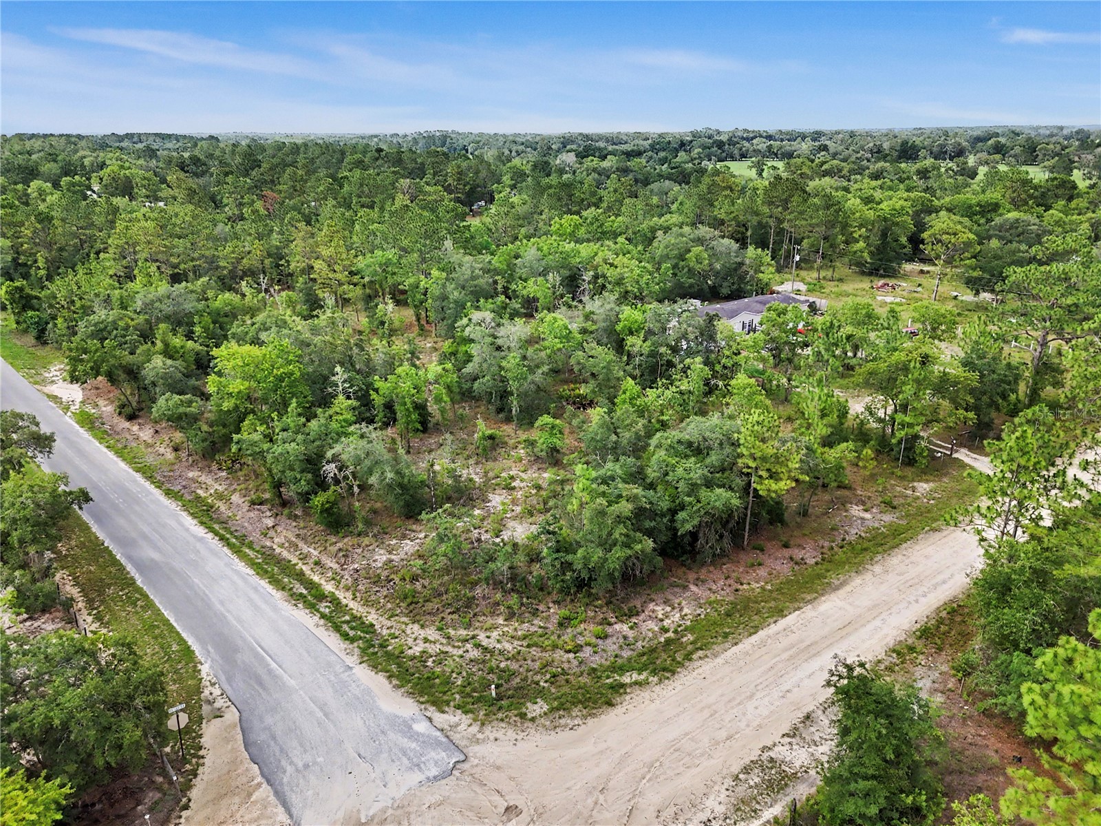 TBD SE 218th Avenue Morriston FL 32668 OM725724 image17