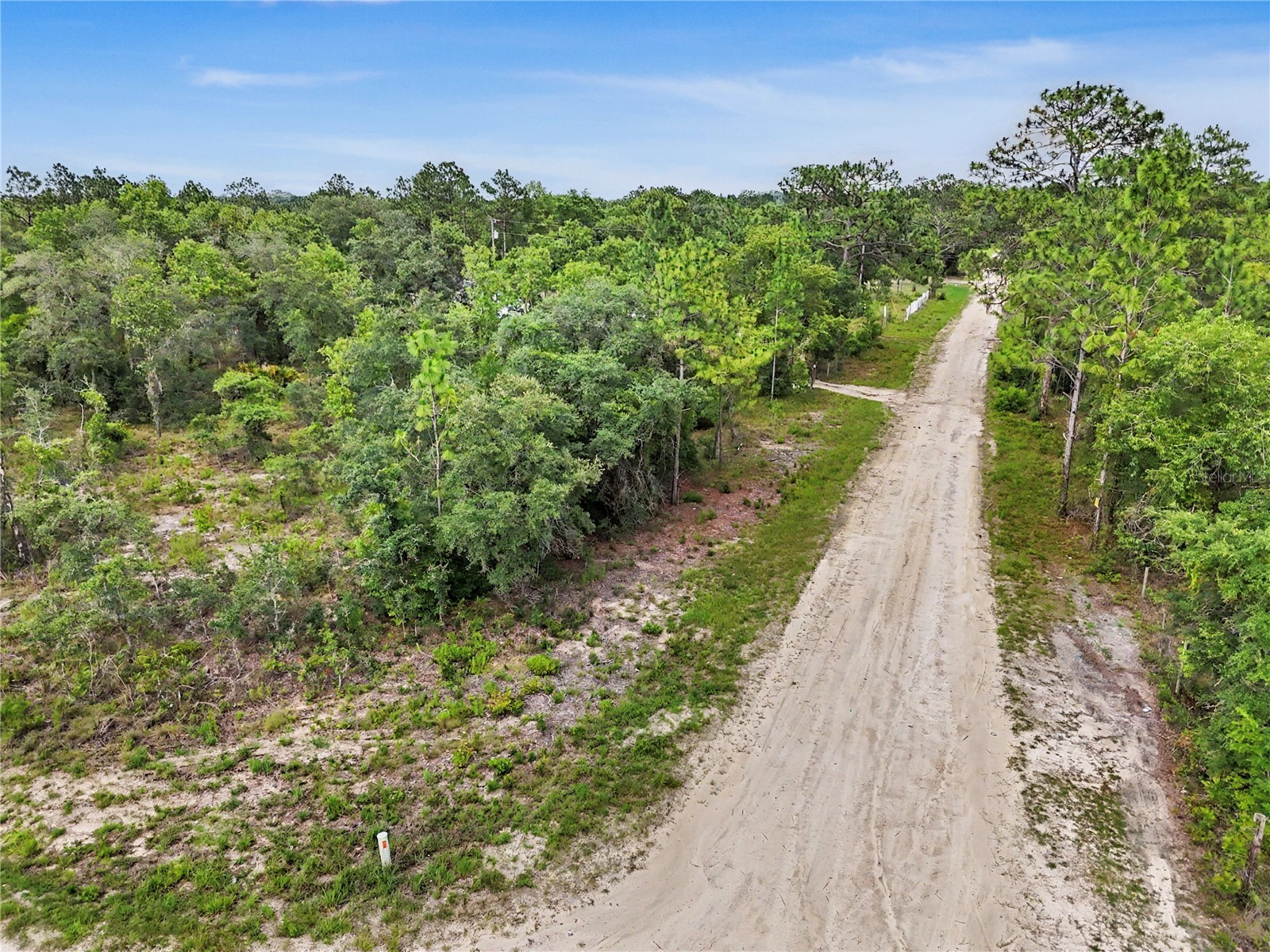 TBD SE 218th Avenue Morriston FL 32668 OM725724 image18