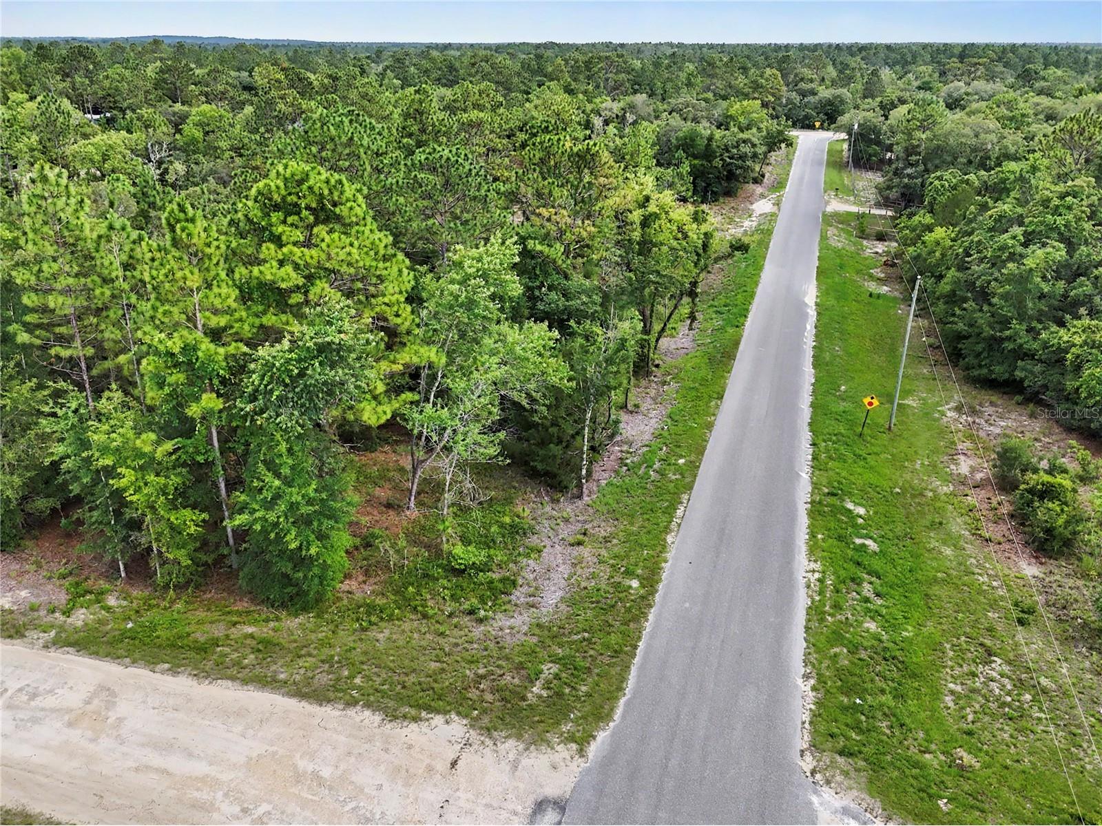 TBD SE 218th Avenue Morriston FL 32668 OM725724 image3
