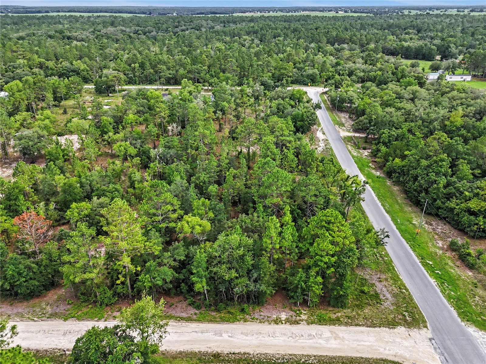 TBD SE 218th Avenue Morriston FL 32668 OM725724 image4
