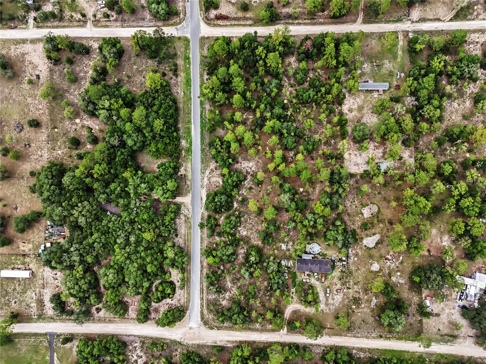 TBD SE 218th Avenue Morriston FL 32668 OM725724 image6