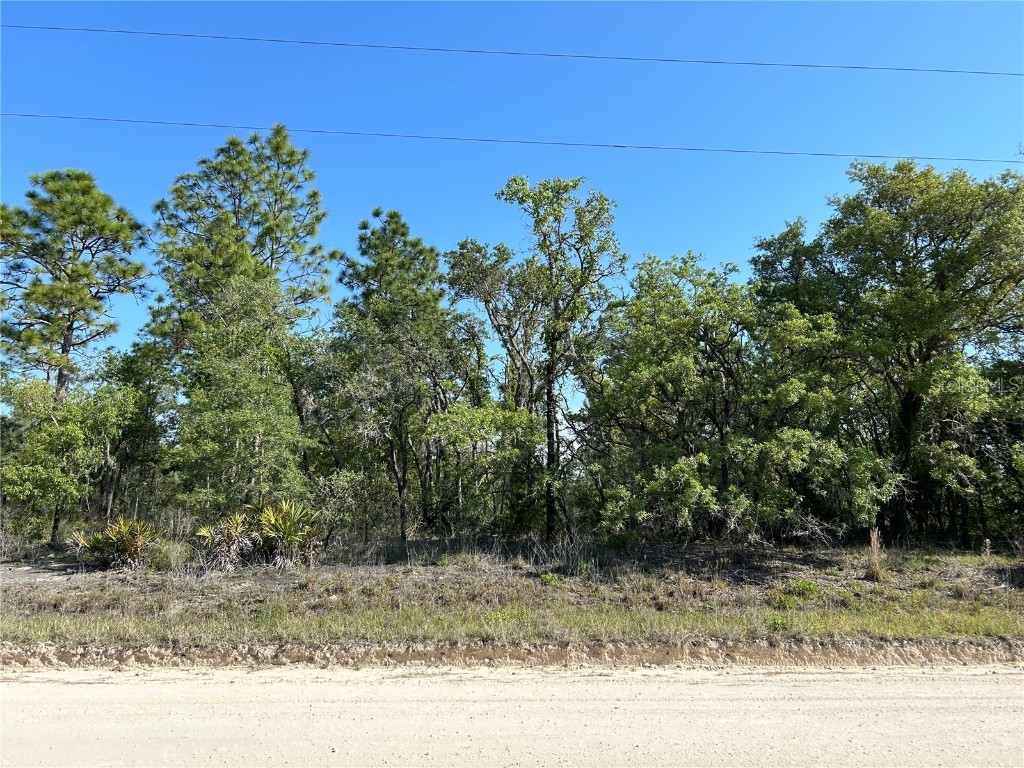 TBD SE 21st Place Morriston FL 32668 OM677049 image1