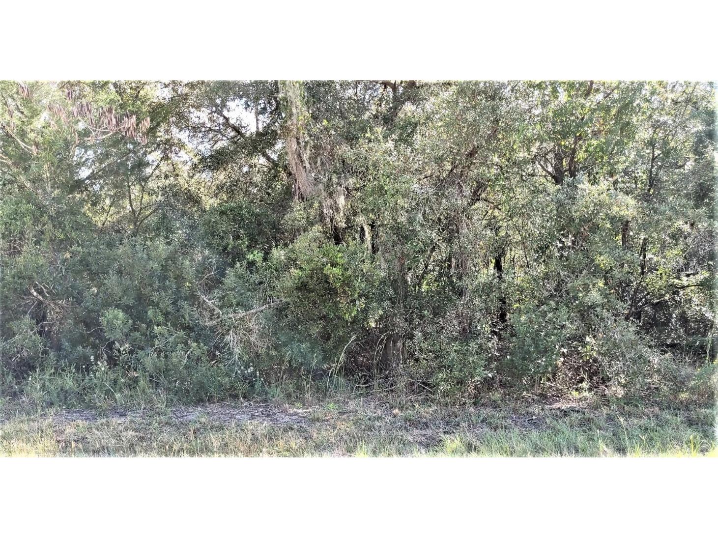 TBD SE 23rd Pl Lot 5 Morriston FL 32668 OM628889 image1