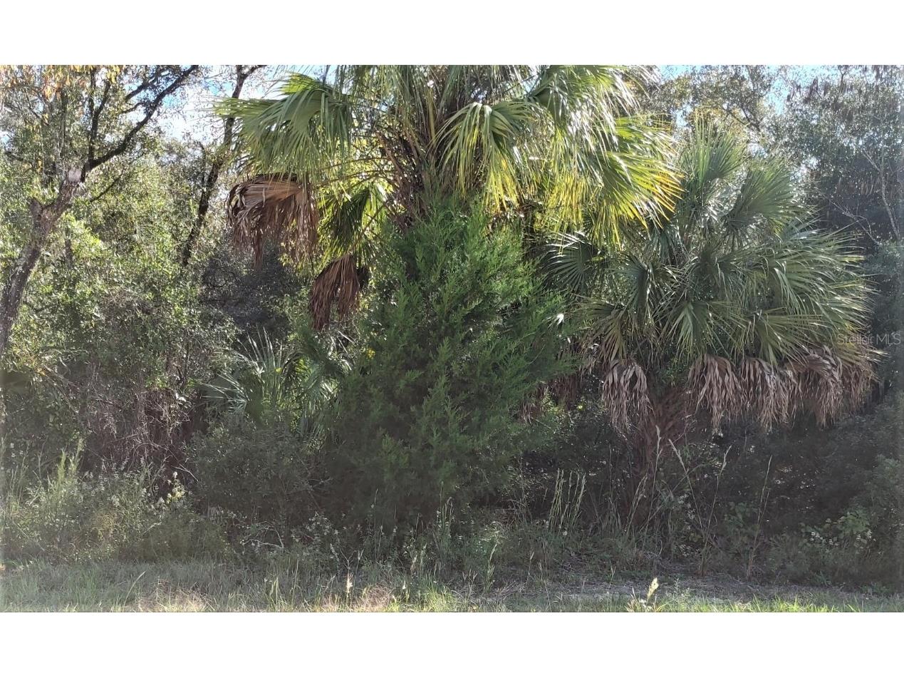 TBD Se 23rd Pl Lot 6 Morriston FL 32668 OM628894 image1