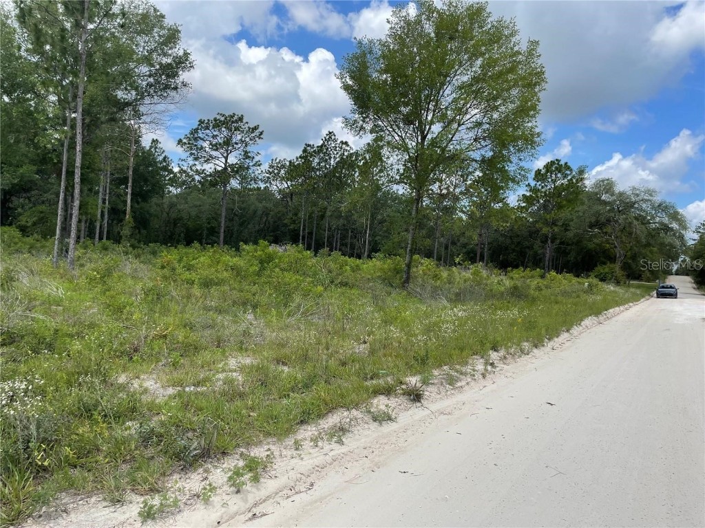 TBD SE 23rd Place Morriston FL 32668 OM692880 image1