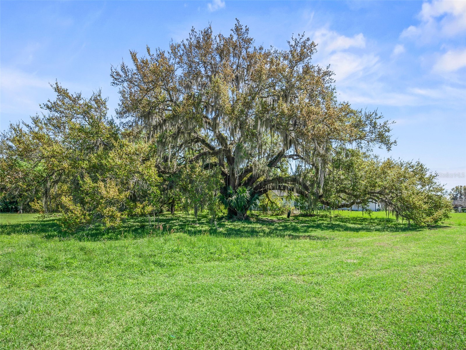 TBD SE 24th Terrace Ocala FL 34480 OM721251 image6