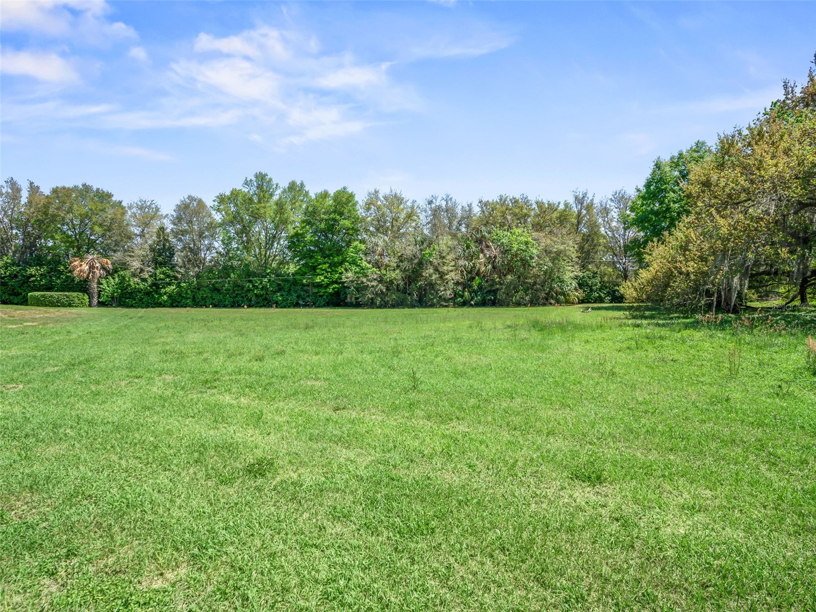 TBD SE 24th Terrace Ocala FL 34480 OM721251 image7