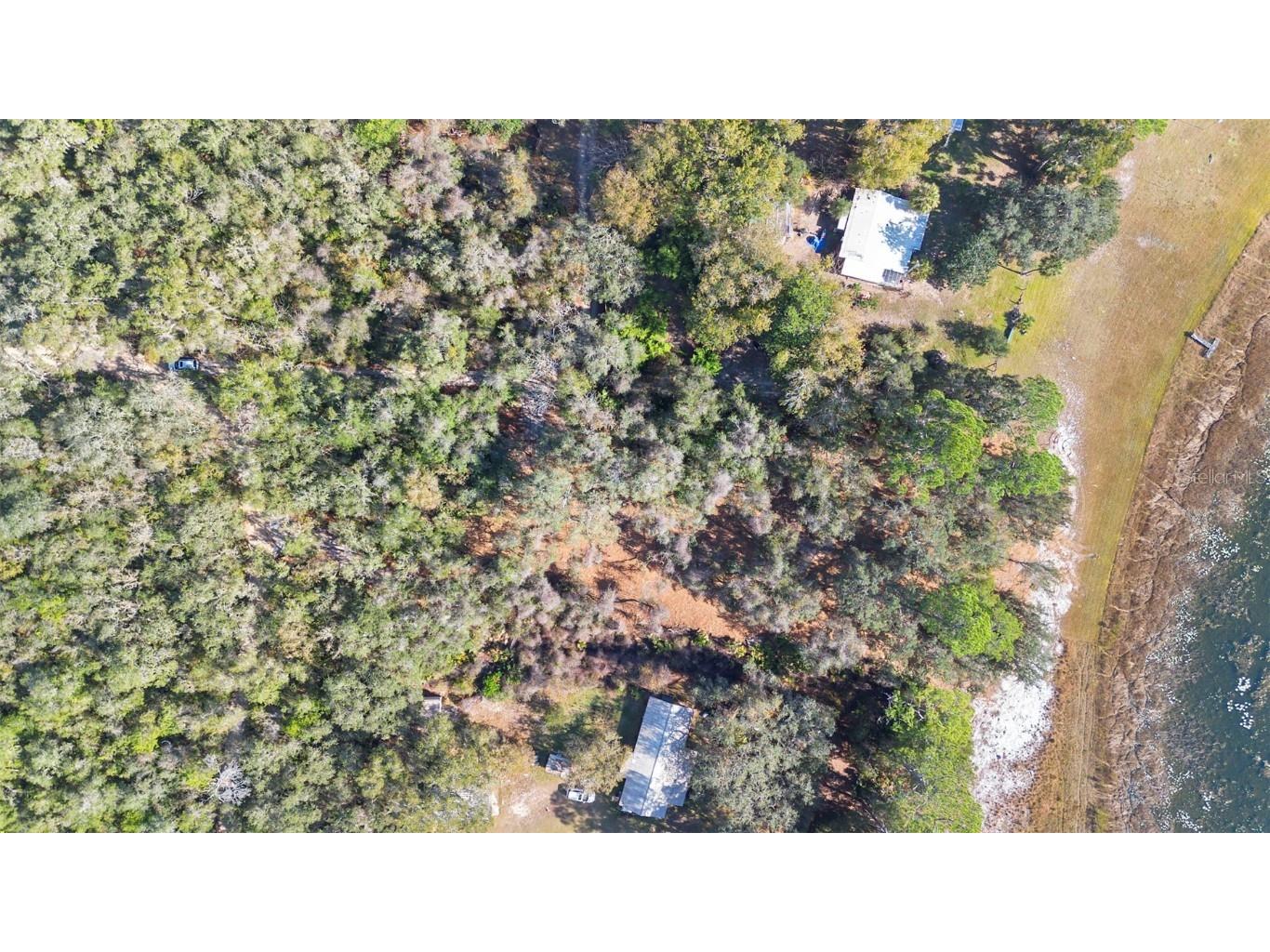 TBD SE 256th Avenue Umatilla FL 32784 OM715016 image10