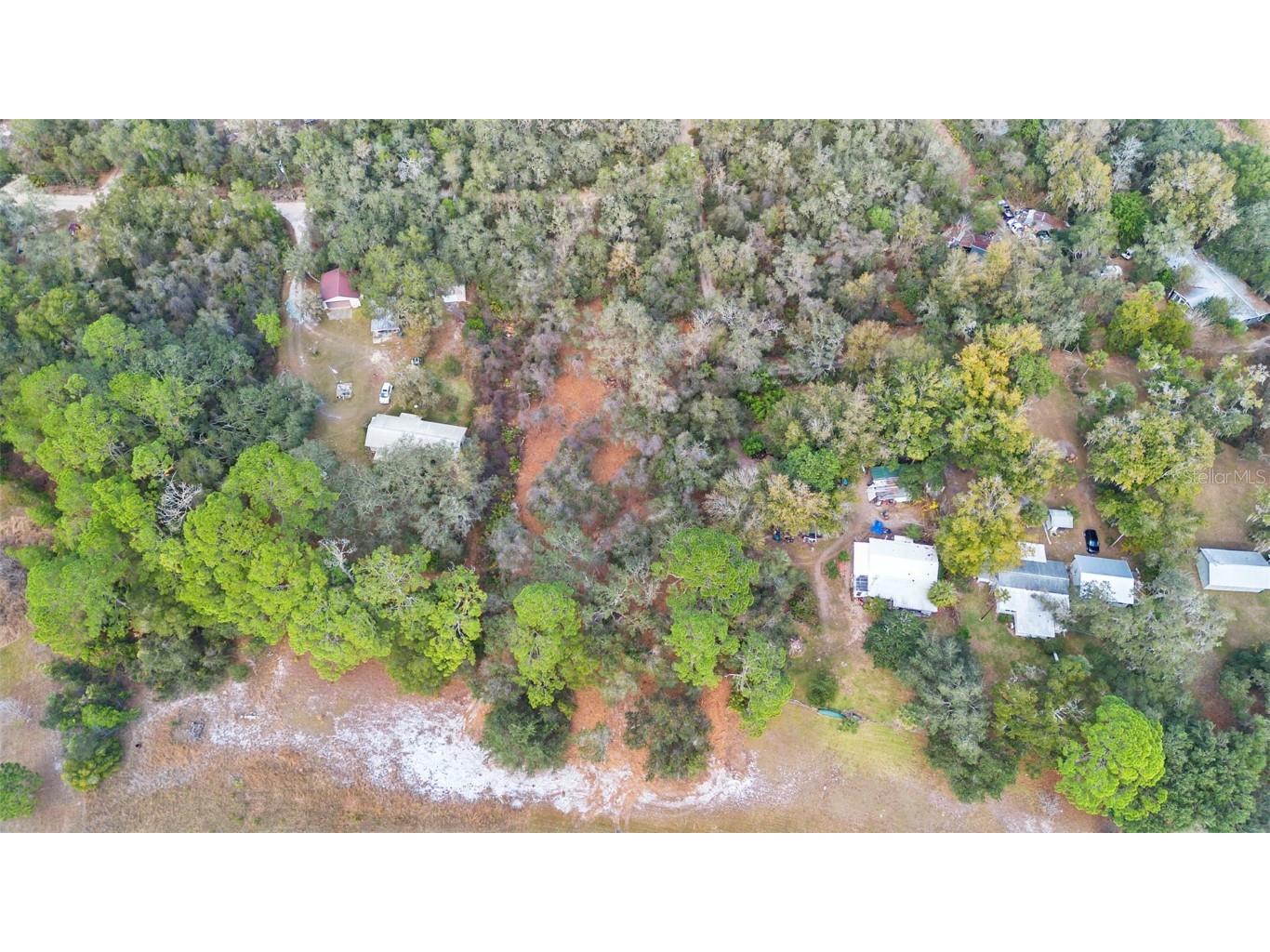 TBD SE 256th Avenue Umatilla FL 32784 OM715016 image13