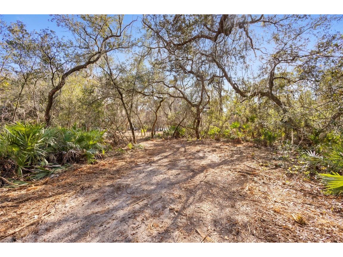 TBD SE 256th Avenue Umatilla FL 32784 OM715016 image15