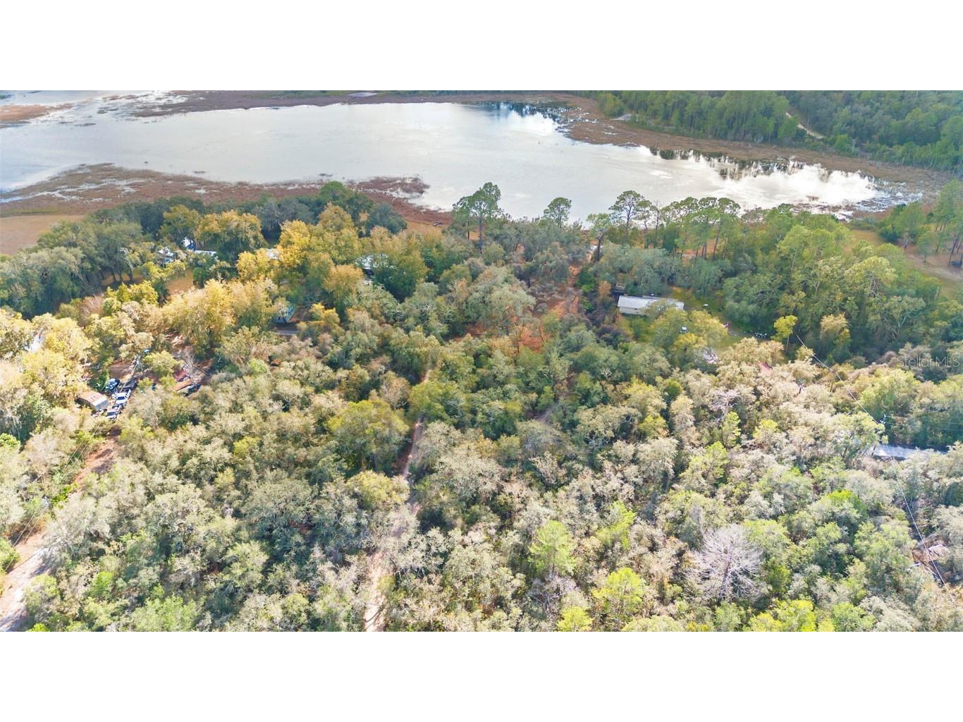 TBD SE 256th Avenue Umatilla FL 32784 OM715016 image19