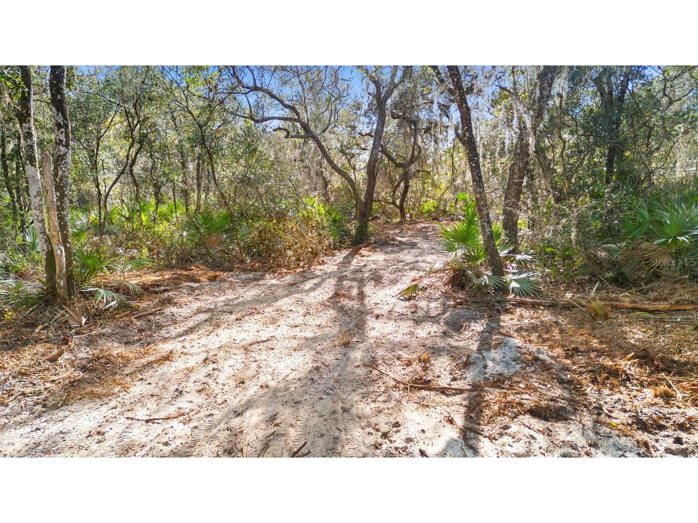 TBD SE 256th Avenue Umatilla FL 32784 OM715016 image20