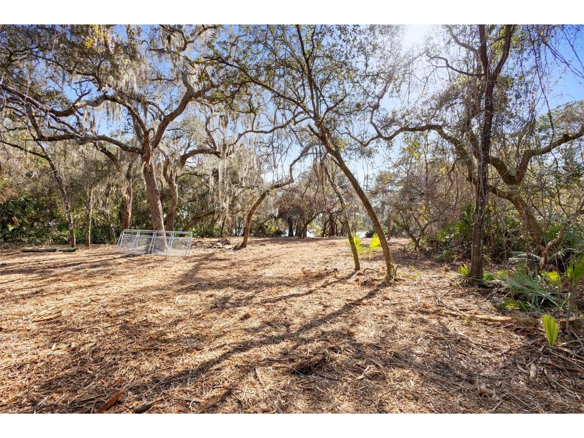 TBD SE 256th Avenue Umatilla FL 32784 OM715016 image21