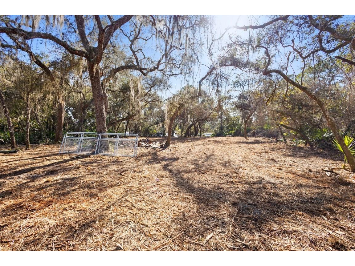 TBD SE 256th Avenue Umatilla FL 32784 OM715016 image22