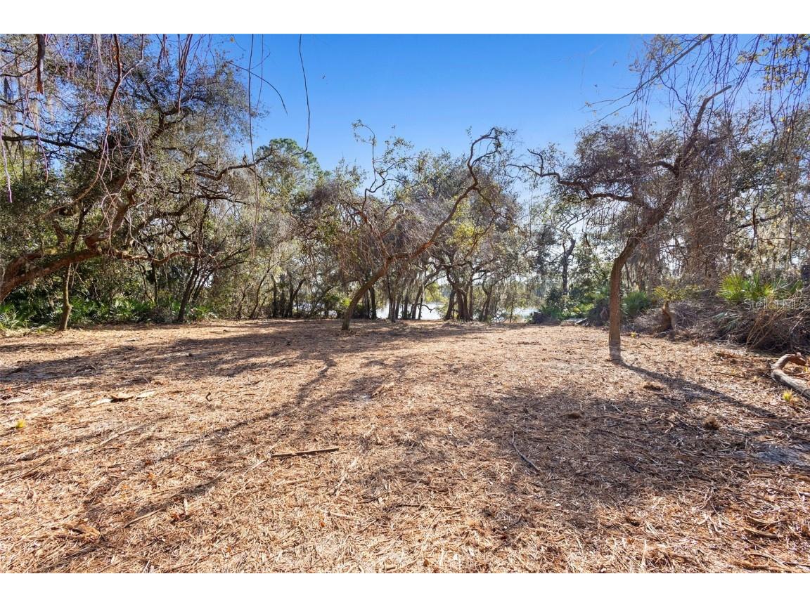 TBD SE 256th Avenue Umatilla FL 32784 OM715016 image23