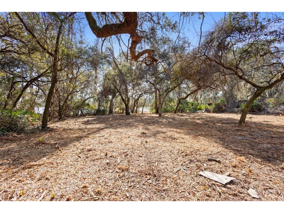 TBD SE 256th Avenue Umatilla FL 32784 OM715016 image24