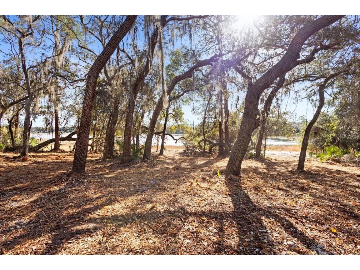 TBD SE 256th Avenue Umatilla FL 32784 OM715016 image25