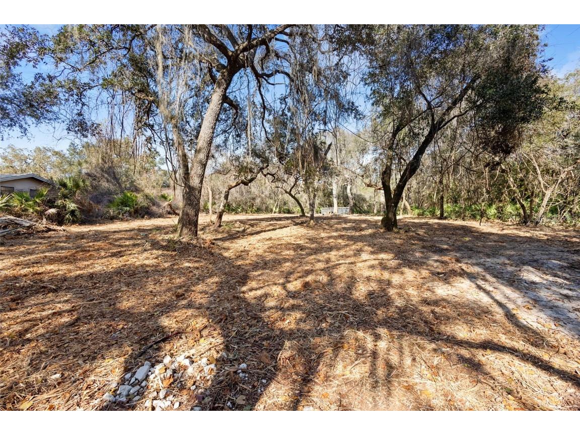 TBD SE 256th Avenue Umatilla FL 32784 OM715016 image26
